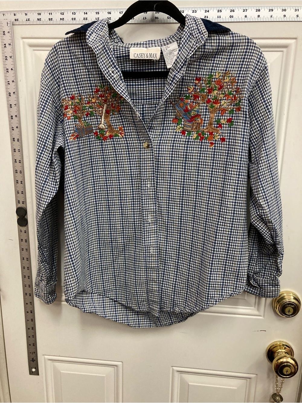 Blue Gingham, Embroidered, Button-Up Blouse, blue, white, brown.